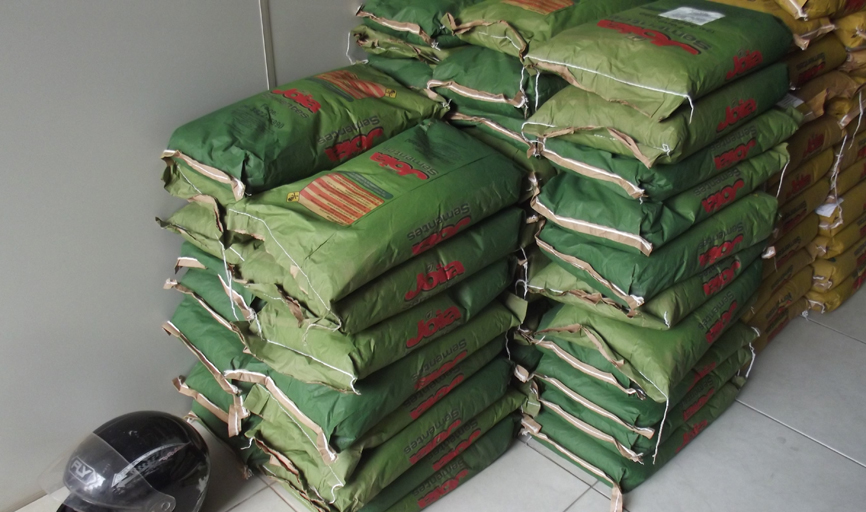Em outubro Conselho Municipal de Desenvolvimento  Rural Sustentável fez distribuição de mudas de feijão e milho