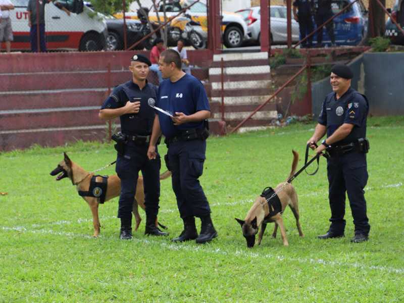 Foram reunidos representantes de várias cidades no  interior paulista para avaliação de desempenho dos cães