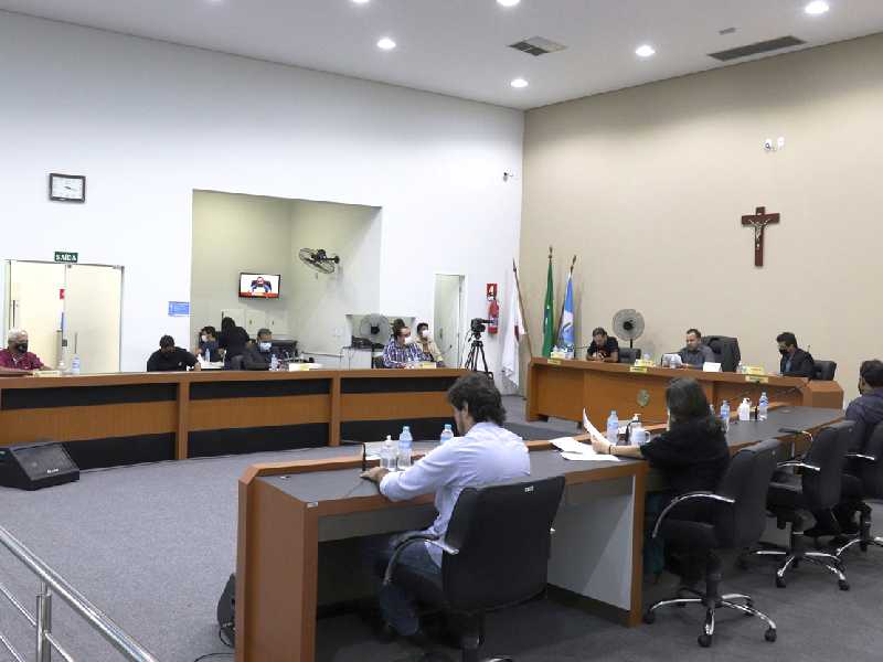 Projeto do vereador Vinício Scarano tramita na Câmara pelas comissões temáticas antes de ser votada pelo plenário