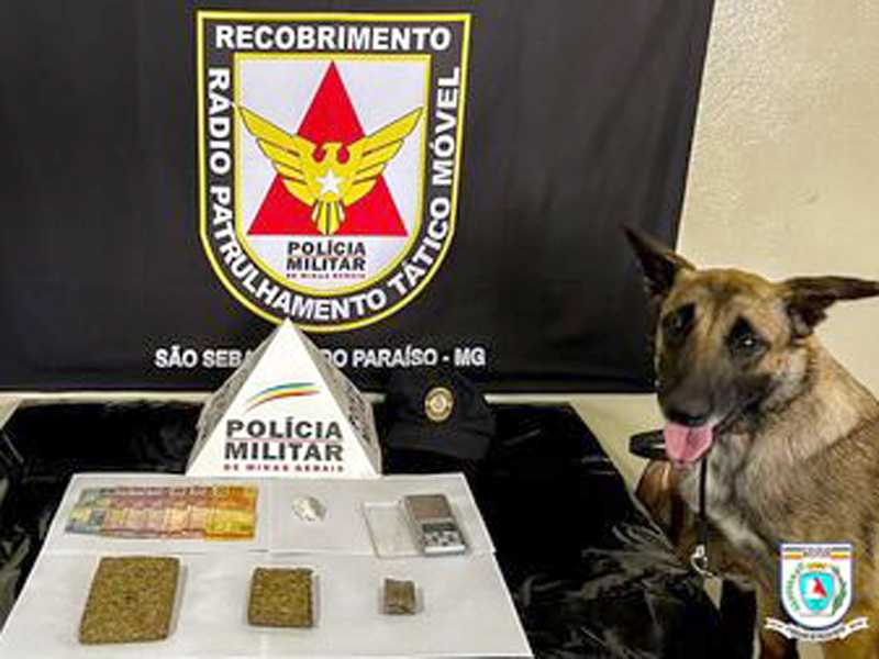 A droga foi localizada pela cadela Kyra que é treinada pela GCM