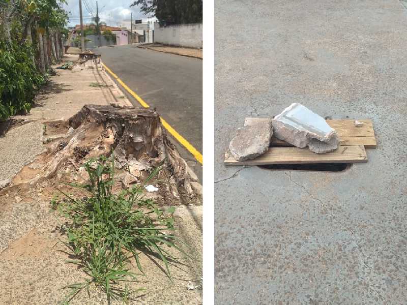 Na rua Alfredo Fidelis Marques toco de árvores, na Av. Wenceslau Brás tampa de caixa quebrada