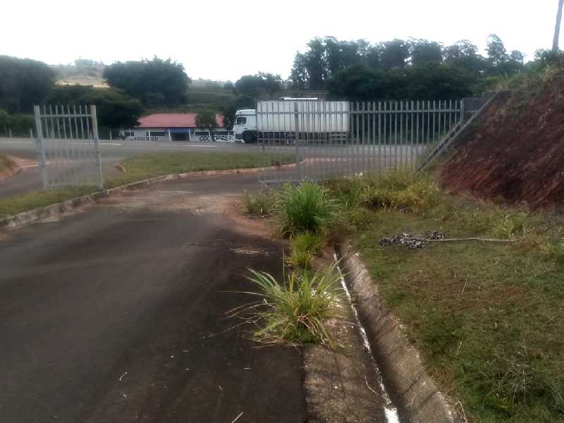 Já no início da entrada para o Aeroporto, e demais locais nas proximidades do Hangar municipal e Salão de espera, estão cheios de matos