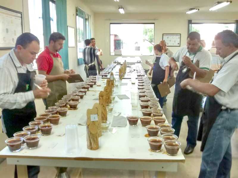 Concurso reúne amostras dos melhores cafés  produzidos em Paaíso, na região e em Minas Gerais