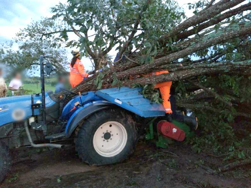 Homem ficou preso entre o trator e os galhos da árvore que caiu em Capetinga
