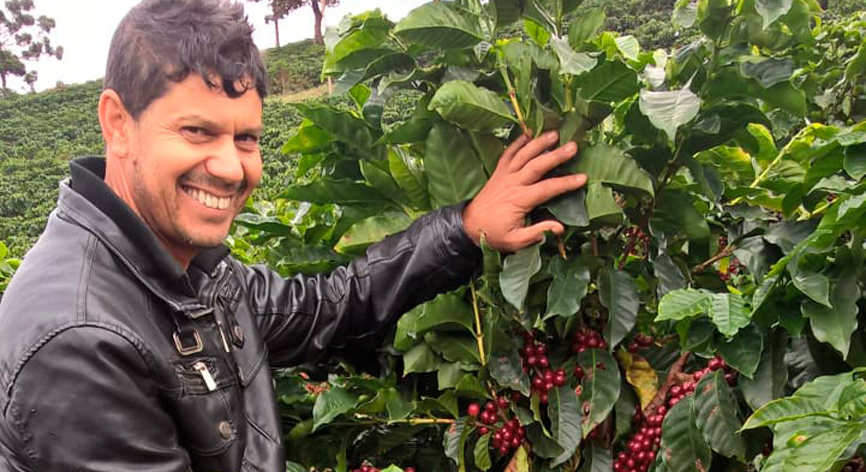 Programa certifica Minas Cafe aumenta competitividade para pequenos produtores