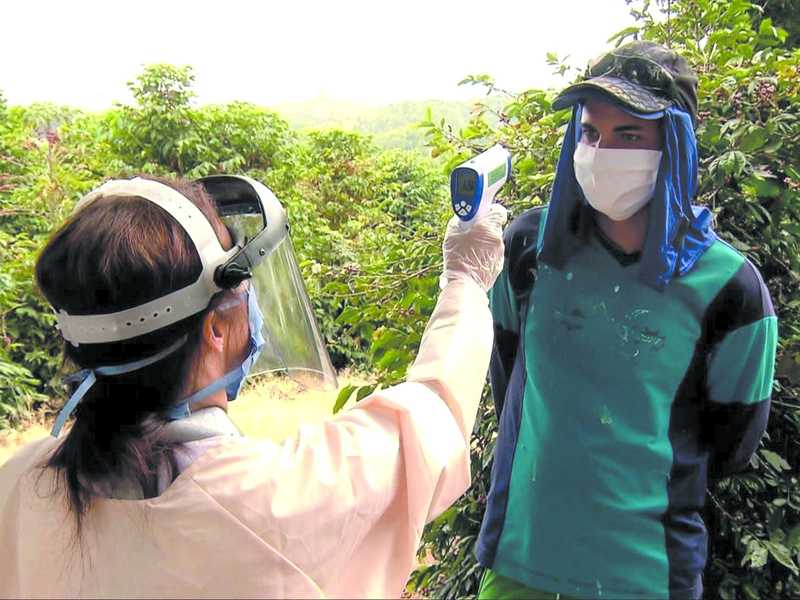 Cartilha apresenta dicas de segurança para trabalhadores durante colheita de café na pandemia