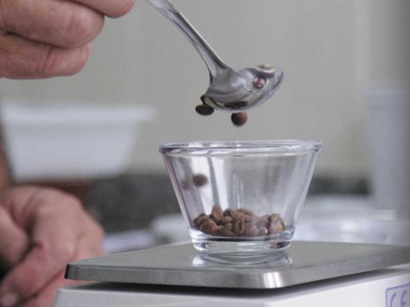 Neste ano concurso recebeu mais de 1.500 amostras das regiões produtoras de café