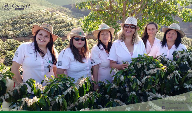 Encontro em Paraíso reunirá mulheres produtoras de cafés especiais do Sul de Minas e Nordeste Paulista